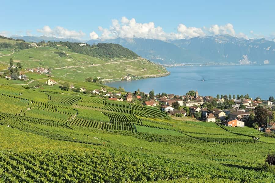 Domaine Blaise Duboux - Art du vin in Epesses, Switzerland