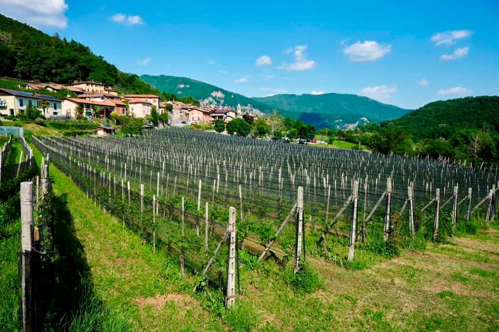 Fumagalli SA in Balerna, Switzerland