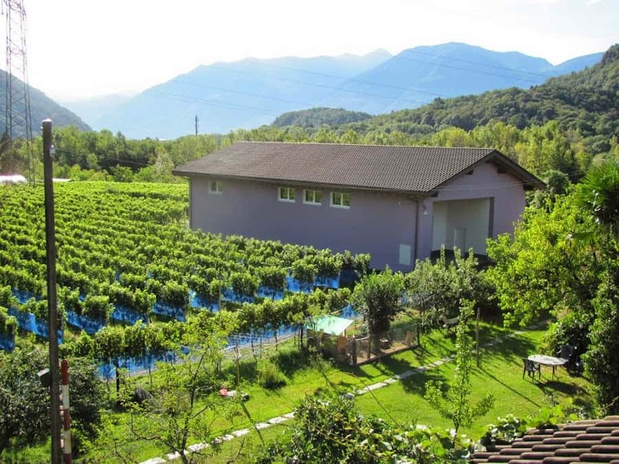 Hefti Vini in Verscio, Switzerland