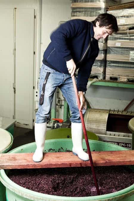 Ochsentorkel Weinbau AG in Thal, Switzerland