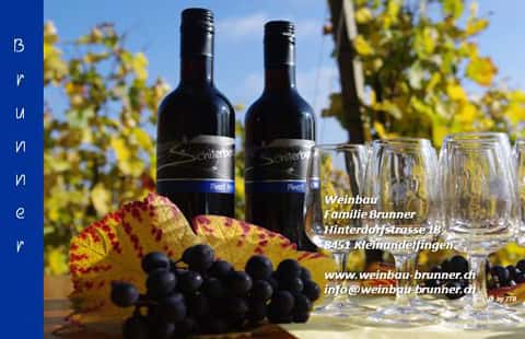 Weinbau Familie Brunner in Kleinandelfingen, Switzerland