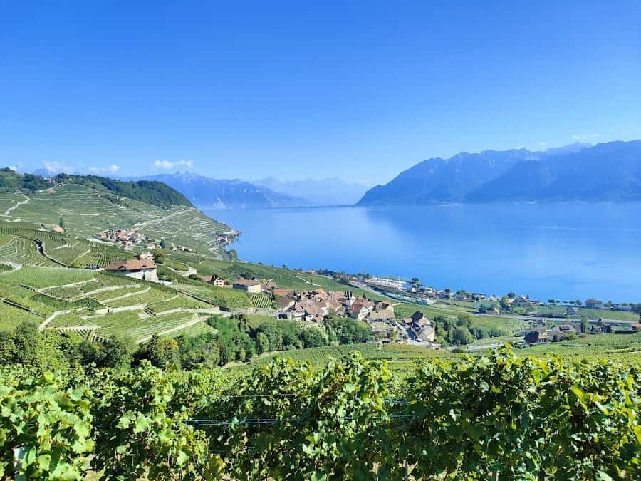 Union Vinicole Cully in Cully, Switzerland