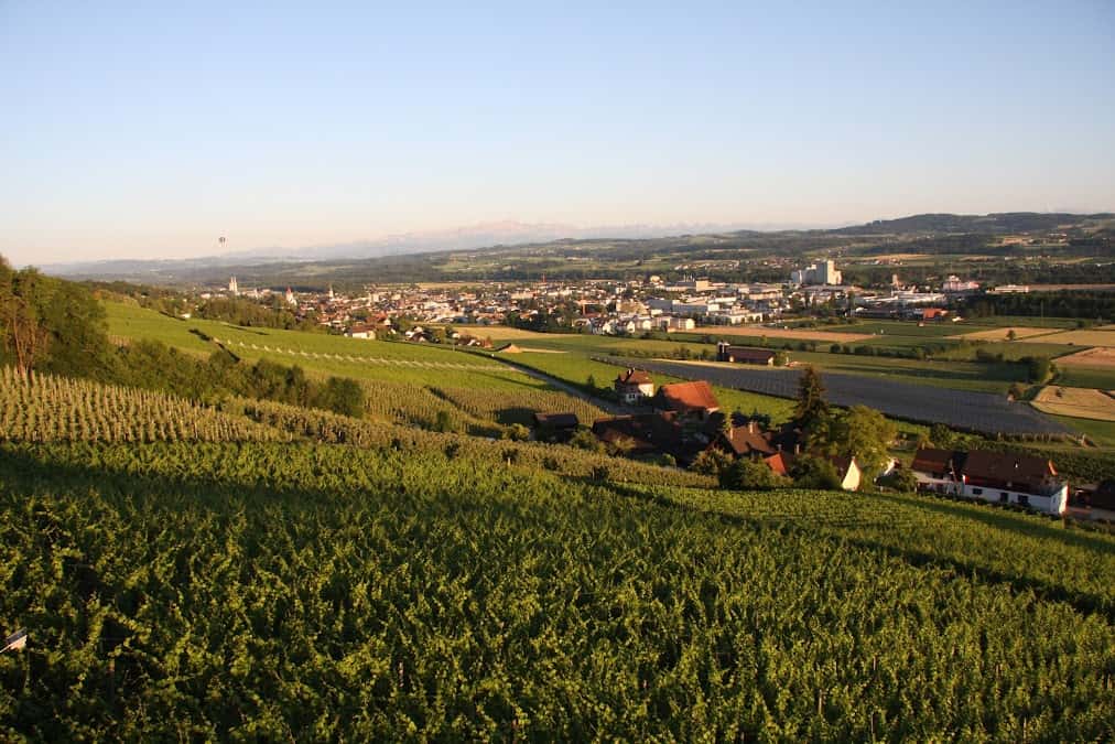 Weingut Wolfer in Weinfelden, Switzerland