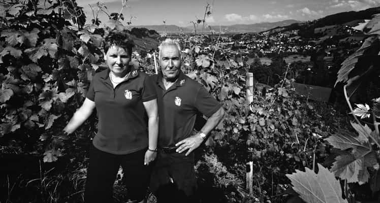 Weinbau Willi Tobler in Thal, Switzerland