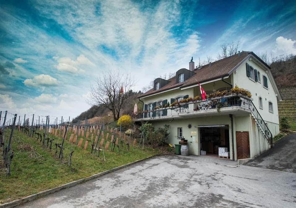 Domaine de Chambaz in Môtier, Switzerland