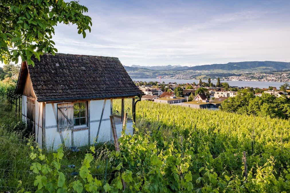 JET Wein GmbH in Uetikon, Switzerland