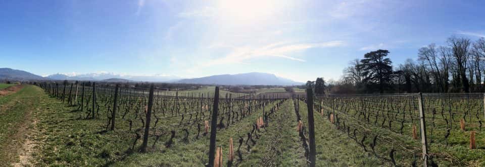 Domaine de Miolan in Choulex, Switzerland