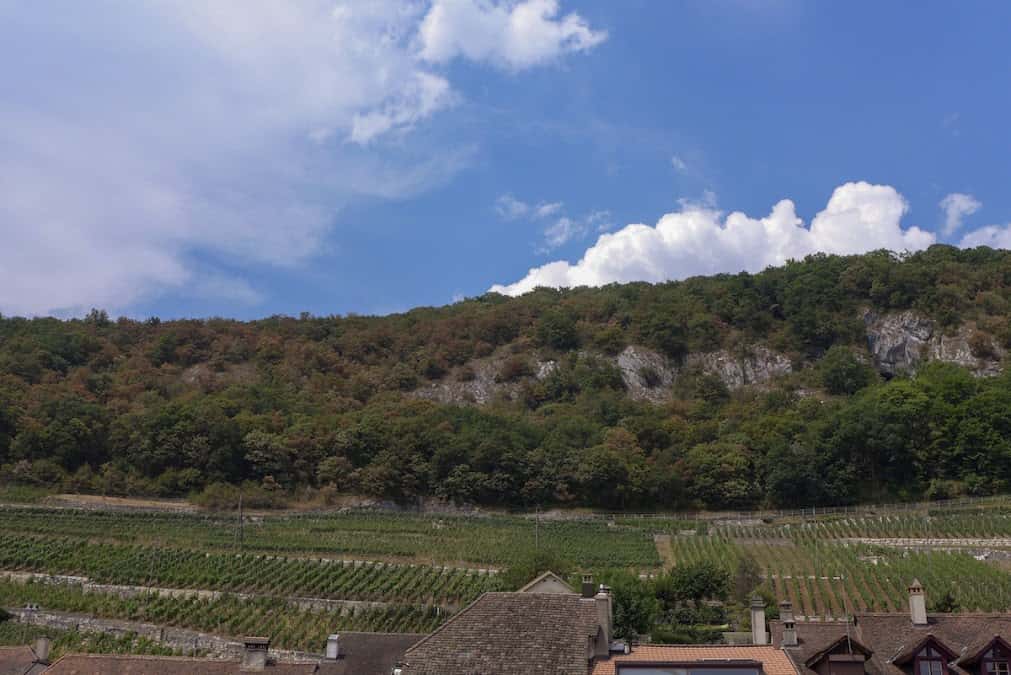 Engel Keller - Viticulteurs in Twann, Switzerland