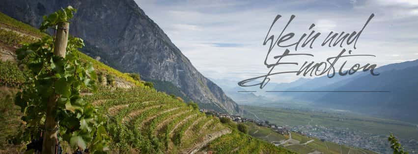 Albert Mathier & Söhne AG in Salgesch, Switzerland