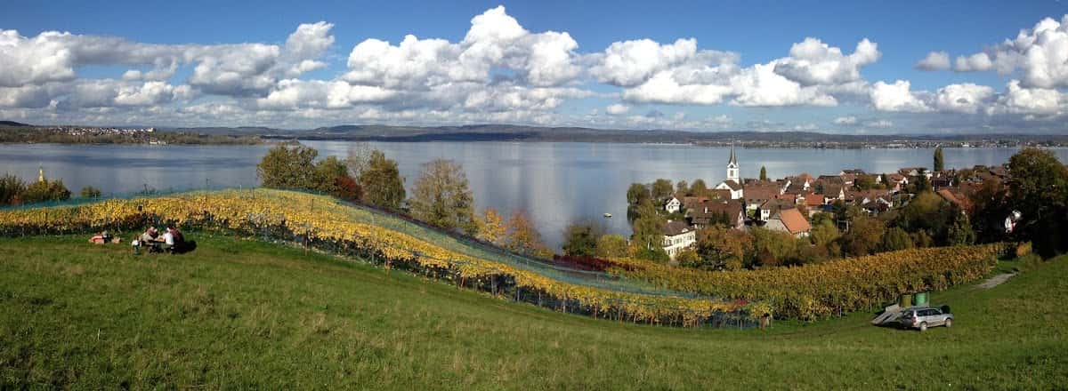 Meier Wein in Berlingen, Switzerland