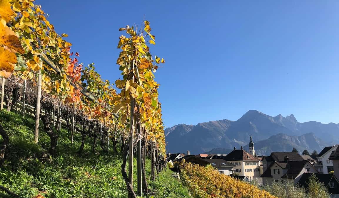 Rathauskeller Mels in Mels, Switzerland