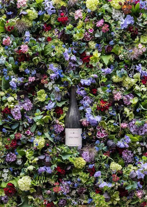 JAVET & JAVET in Lugnorre, Switzerland