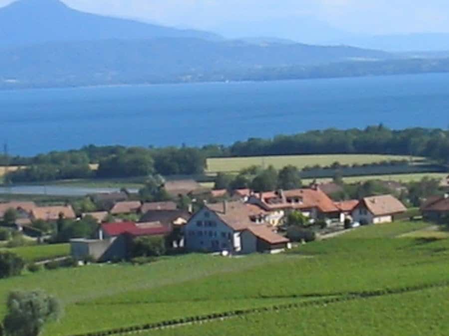 Domaine Richard Aguet in Féchy, Switzerland