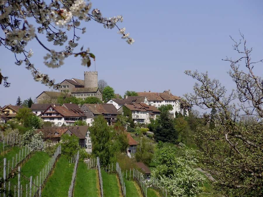 Weingut Weidmann in Regensberg, Switzerland