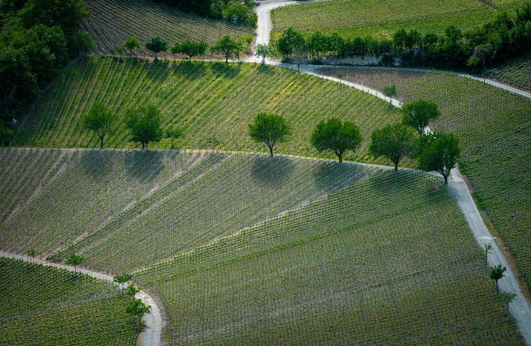 Cave du Chevalier Bayard SA in Varen, Switzerland