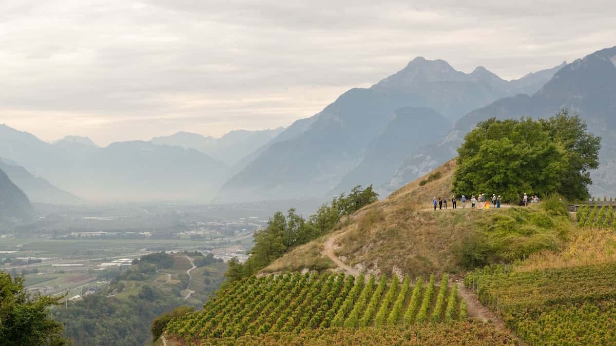 Cave Bridy in Savièse, Switzerland