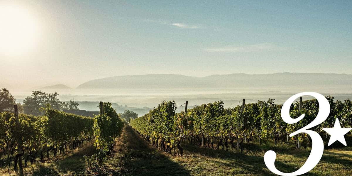 Domaine des Trois Étoiles in Satigny, Switzerland