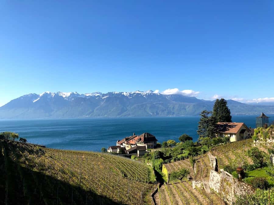 FONJALLAZ Louis in Epesses, Switzerland