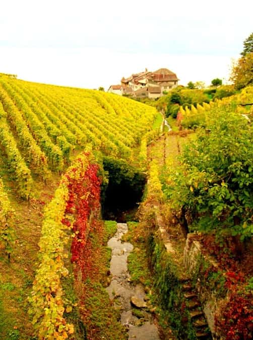 Famille Fonjallaz & Cie in Epesses, Switzerland