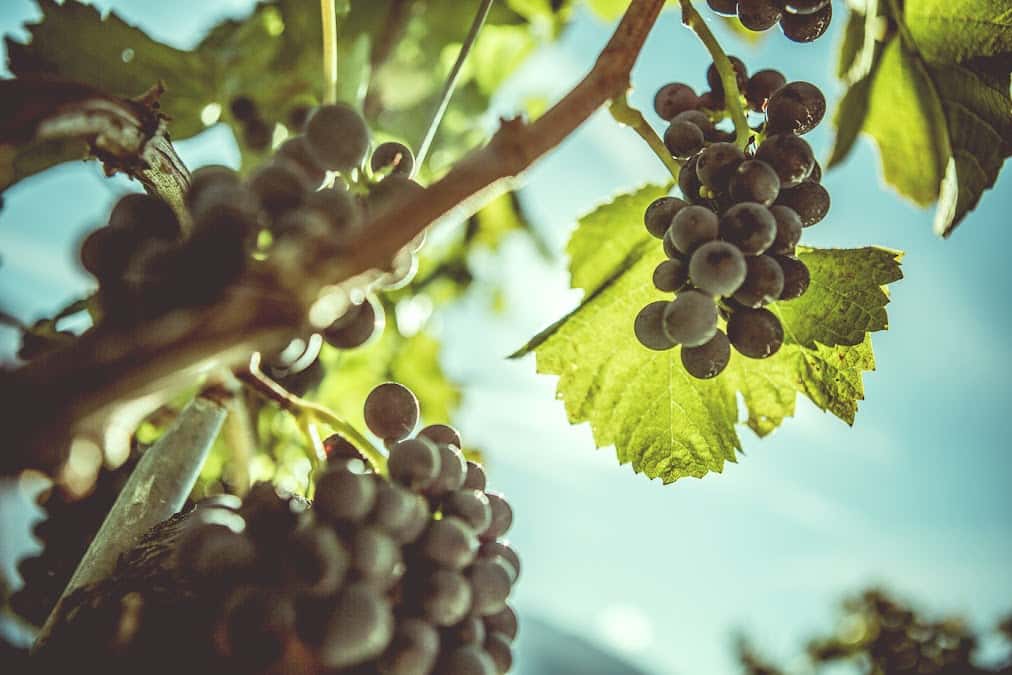 Wundärland in Salgesch, Switzerland