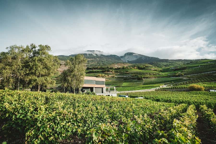 Valais, wine region, Switzerland