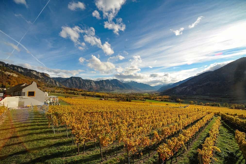 Kellergeflüster Gmbh in Jenins, Switzerland