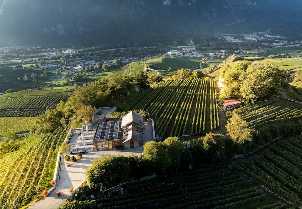 GREGOR KUONEN Caveau de Salquenen in Salgesch, Switzerland