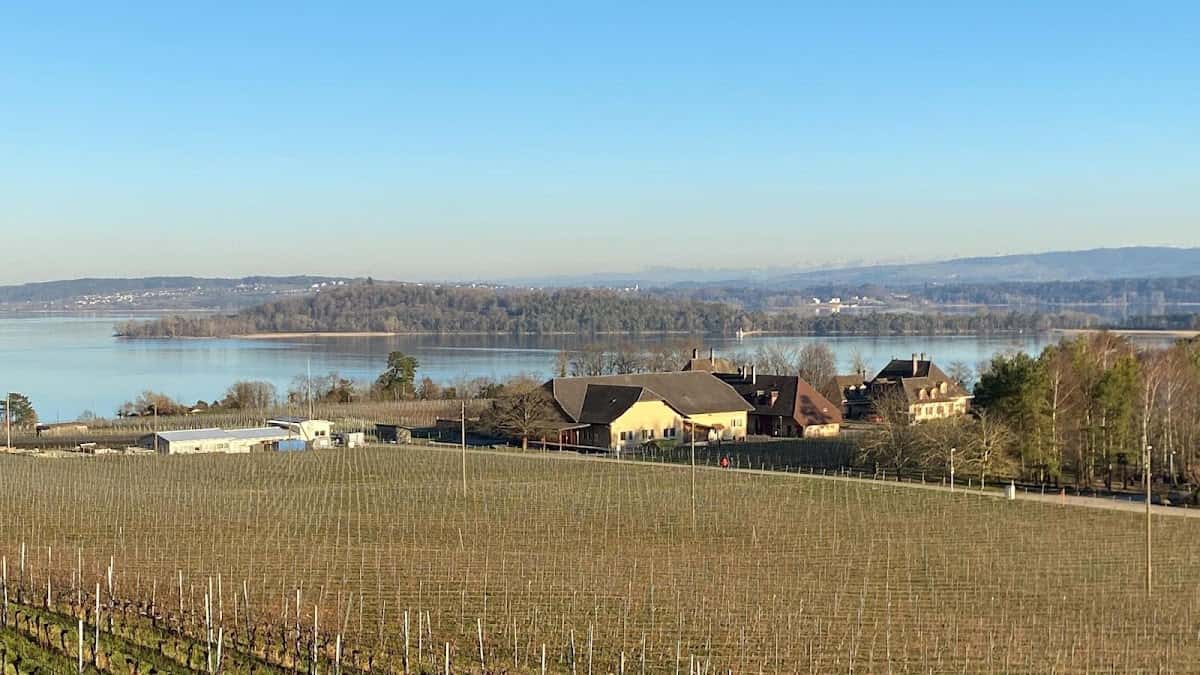 Domaine de la ville de Berne - Rebgut Stadt Bern in La Neuveville, Switzerland