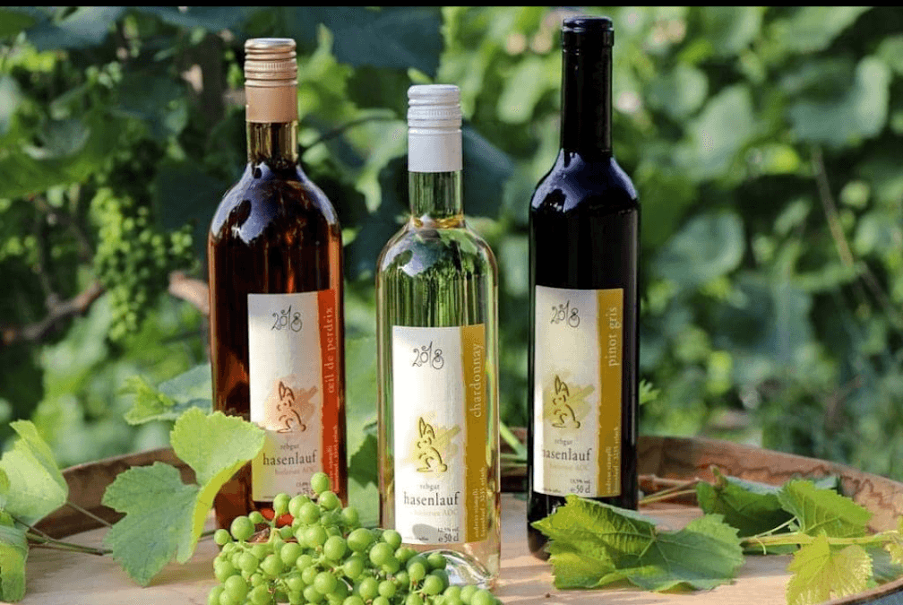 carnotzet erlach by rebgut hasenlauf in Erlach, Switzerland