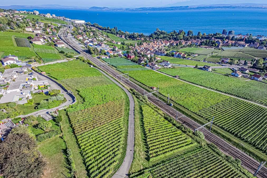 Domaine des Lerins in Corcelles-Cormondrèche, Switzerland