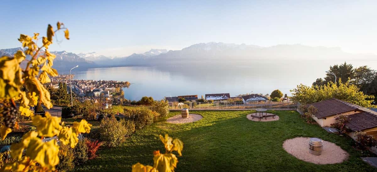 Caveau de la Pierraz | Jean-Paul Forestier Vigneron in Chardonne, Switzerland