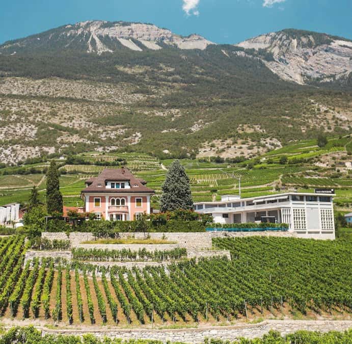 Domaines Chevaliers in Salgesch, Switzerland
