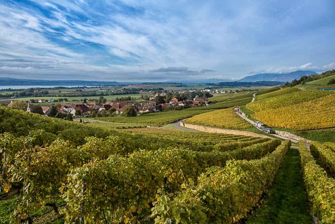 Cave des Viticulteurs de Bonvillars in Bonvillars, Switzerland