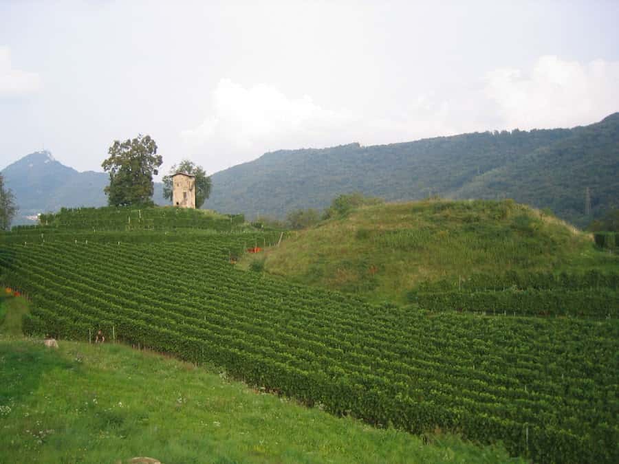 Cantina Kopp von der Crone Visini in Lugano, Switzerland