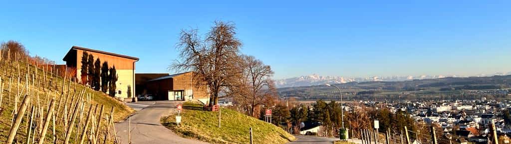 Weingut Burkhart in Weinfelden, Switzerland
