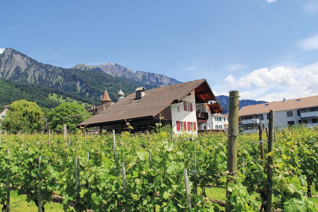 Wullschleger Weine in Maienfeld, Switzerland