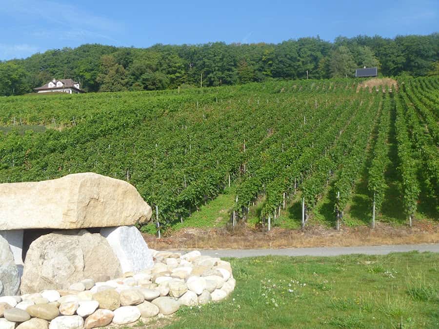 Camilien Gaille - Domaine Didier Gaille in Onnens, Switzerland