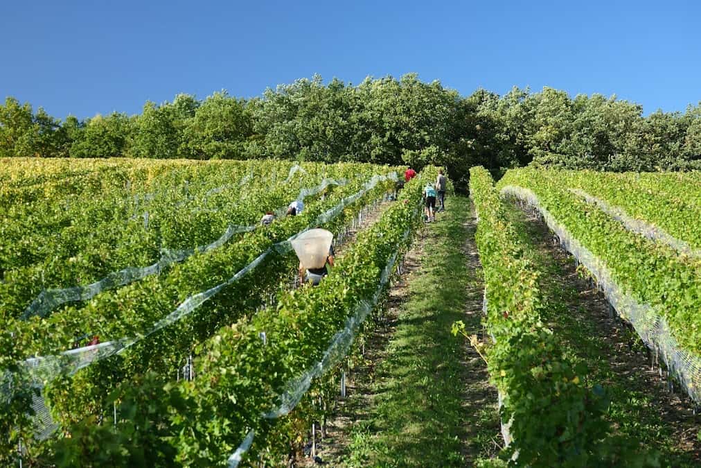 Château des Bois in Satigny, Switzerland