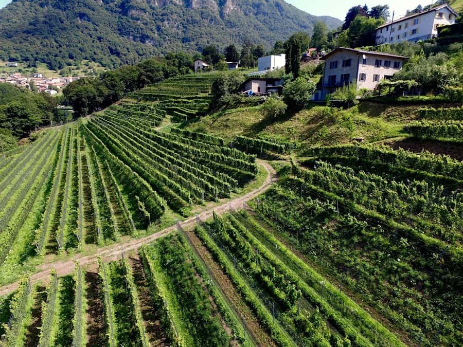 Azienda Agricola Bianchi in Arogno, Switzerland