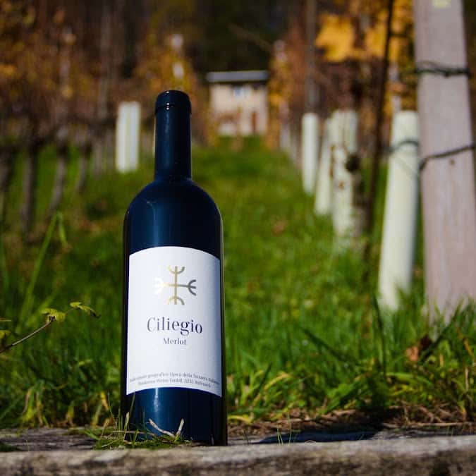 Hauksson Weine GmbH in Rüfenach, Switzerland