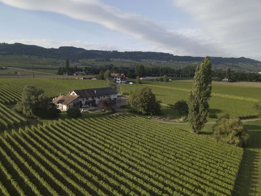 Domaine de la Dolle in Rolle, Switzerland