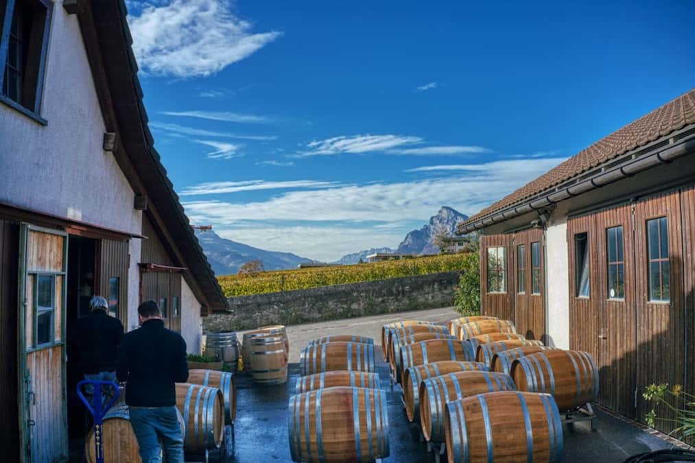 Weingut Heidelberg in Maienfeld, Switzerland
