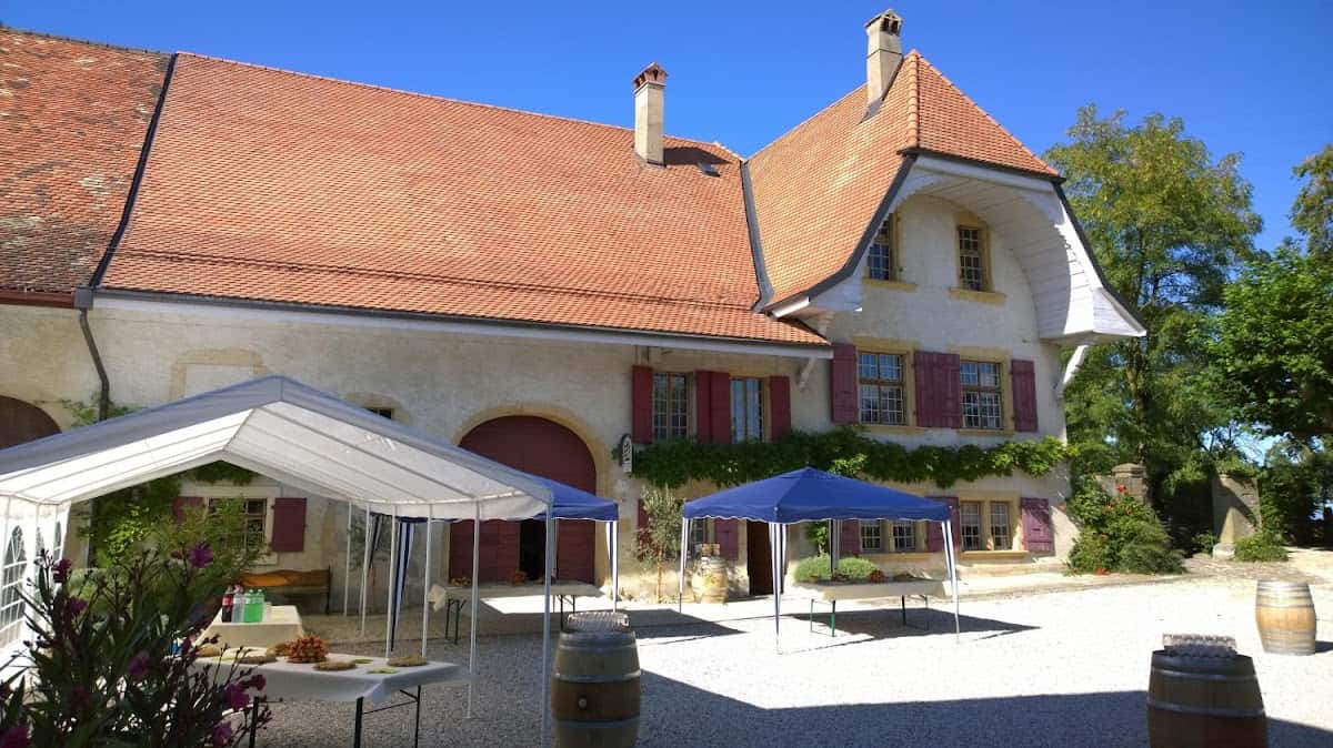 CAVE DES MURAILLES Landry Morel in Arnex-sur-Orbe, Switzerland
