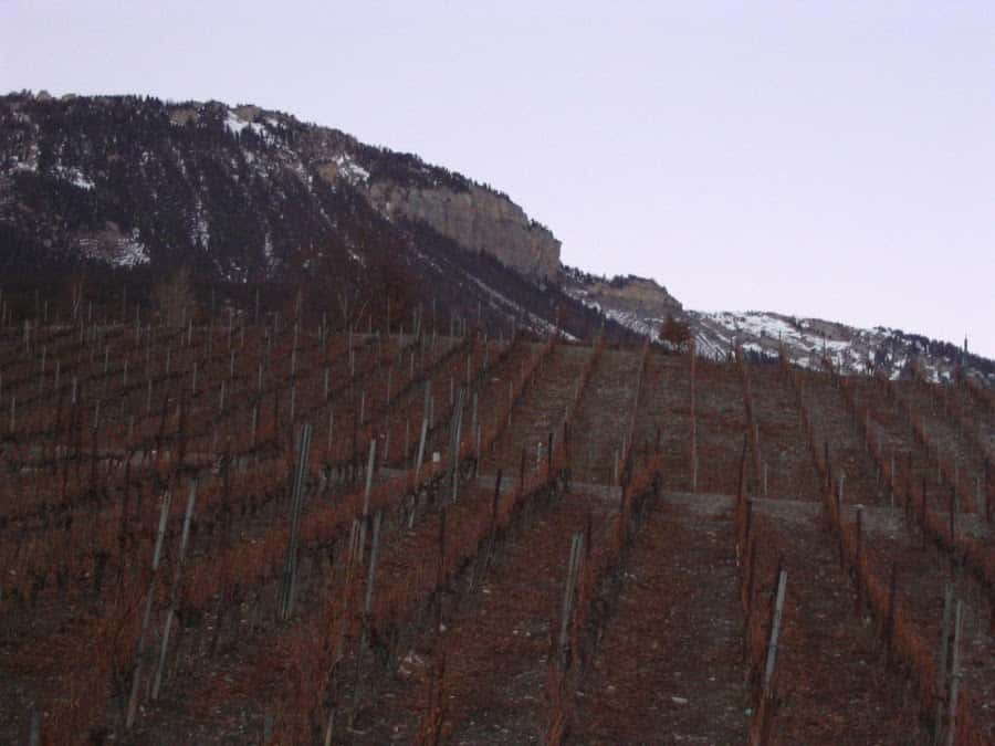 Cave St-Antoine - Marcel Albrecht in Miège, Switzerland
