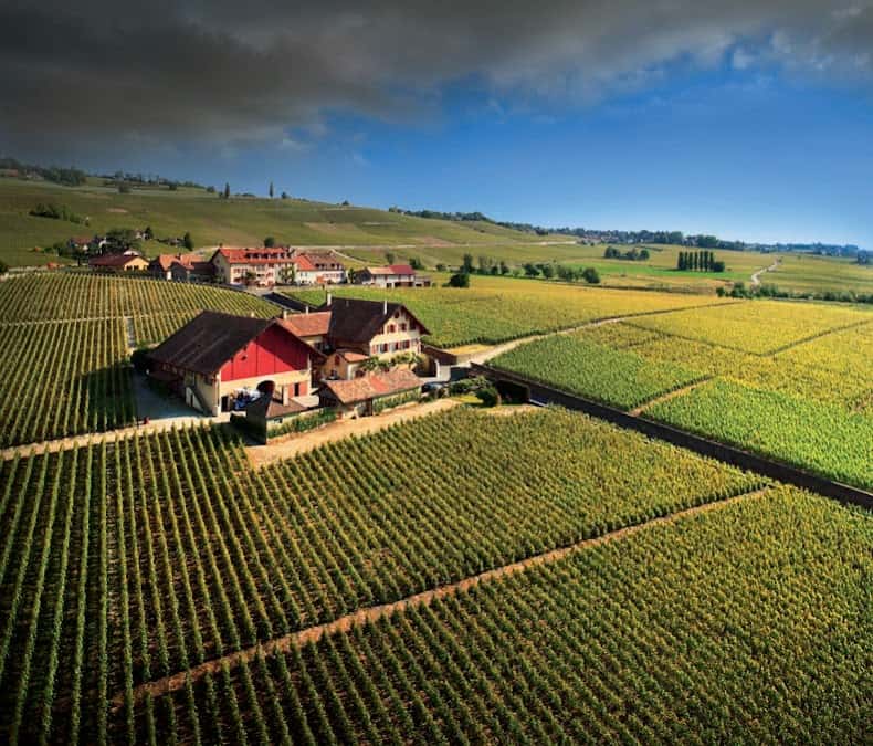 Domaine du Martheray in Féchy, Switzerland