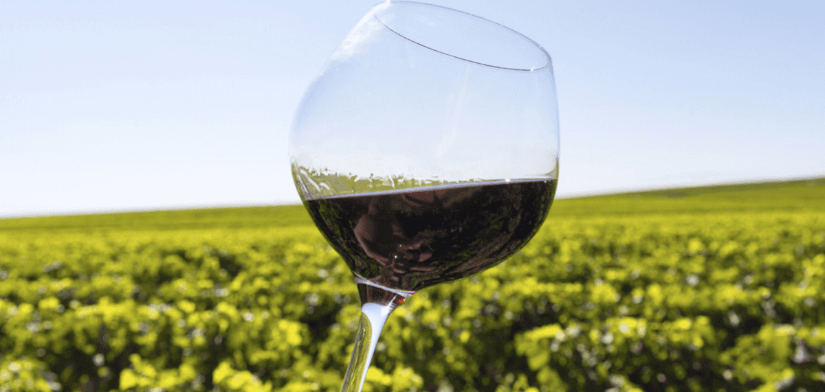 Domaine Les Revents in Rolle, Switzerland