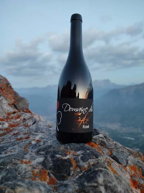 Domaine du trèfle in Riddes, Switzerland