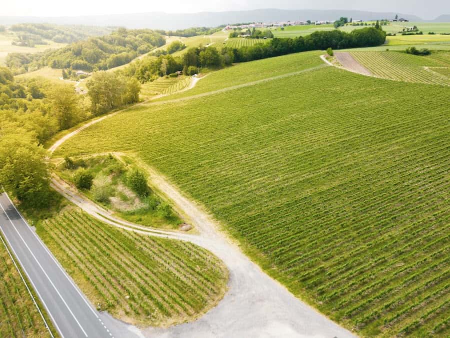 Domaine Rossier - Daniel Rossier et Fils in Lavigny, Switzerland