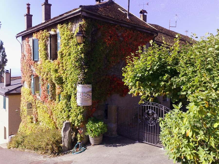 Domaine Piccard in Lutry, Switzerland