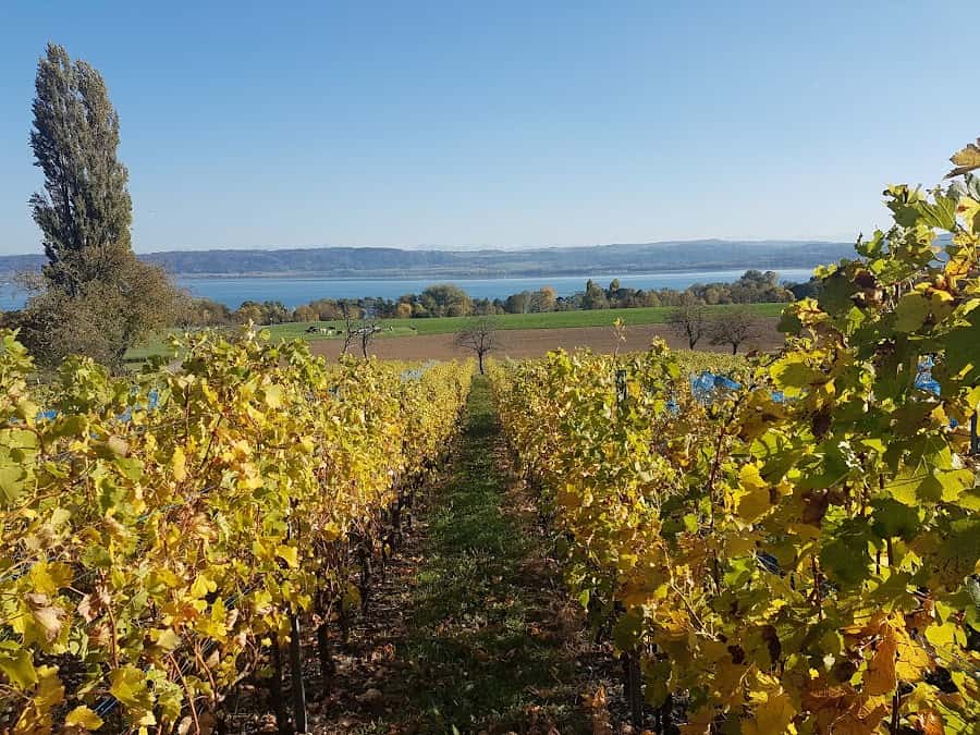 Domaine des 4 Menhirs in Corcelles-près-Concise, Switzerland